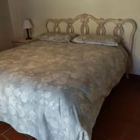 La N'gima All' Ara