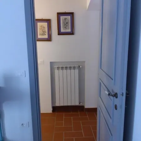 La N'gima All' Ara *